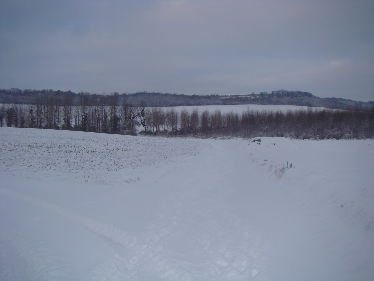 Paysage sous la neige