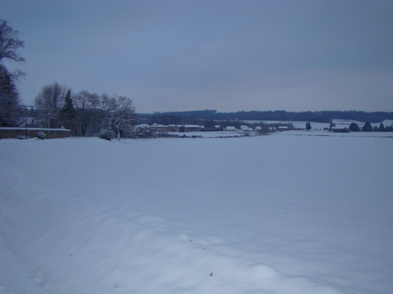 Paars sous la neige